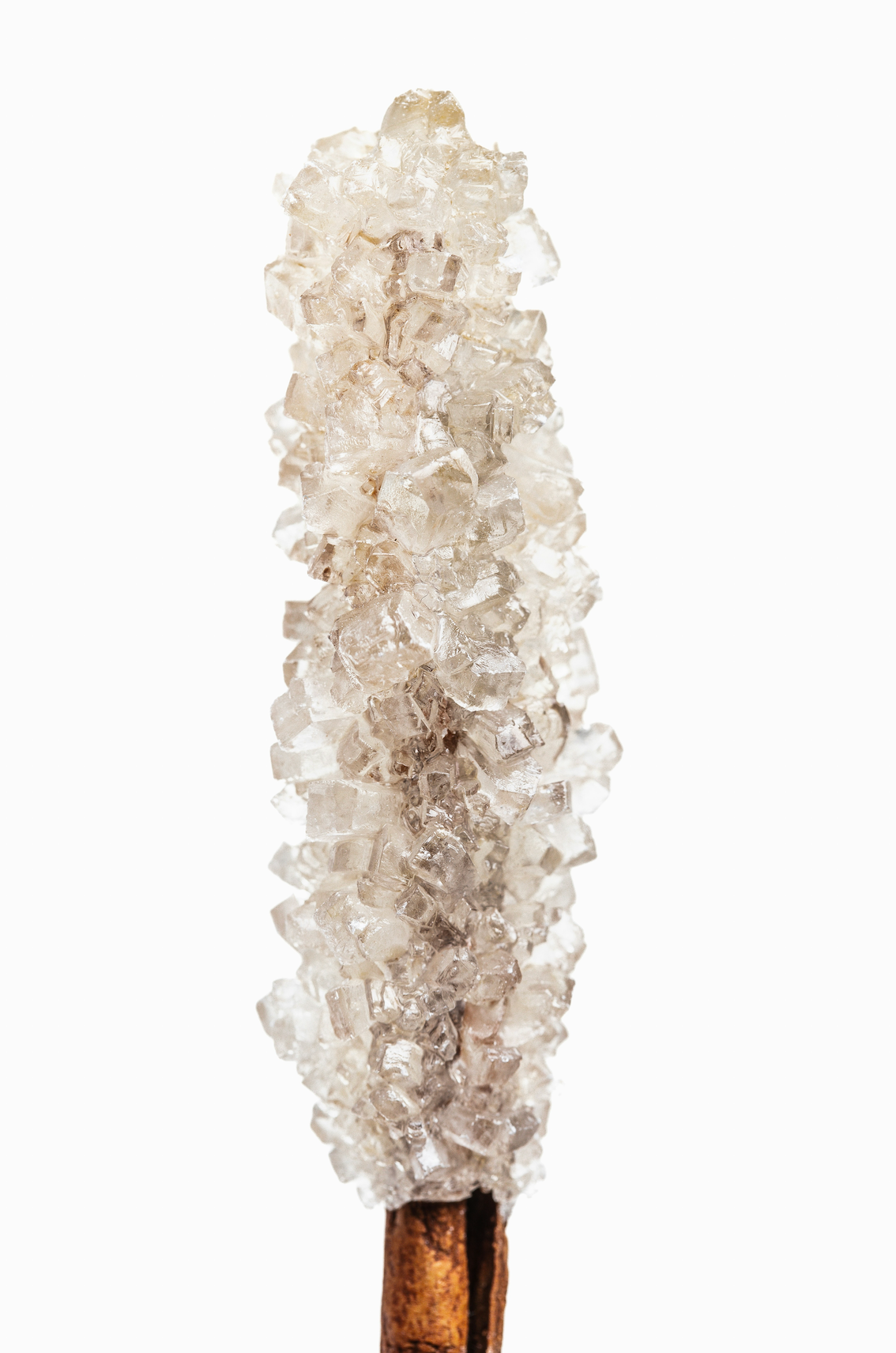Signature Vanilla Sugar 100 ml Eau de Toilette