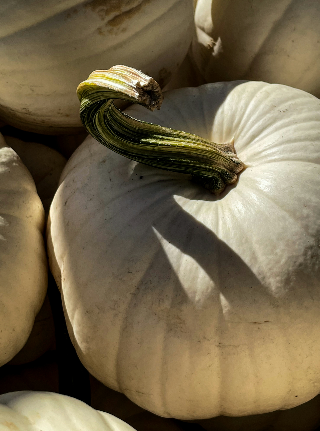 Invigorating White Pumpkin 100 ml Room Spray