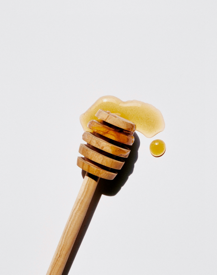 Refreshing Sweet Honey 15.7 oz Liquid Hand Soap