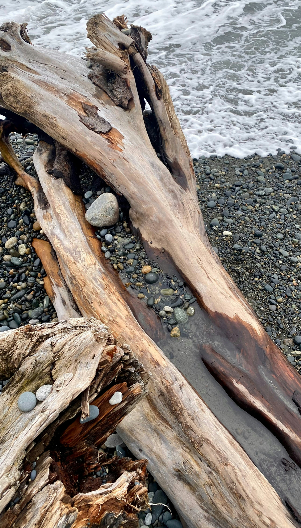 Cozy Ocean & Driftwood 10 oz scented candle